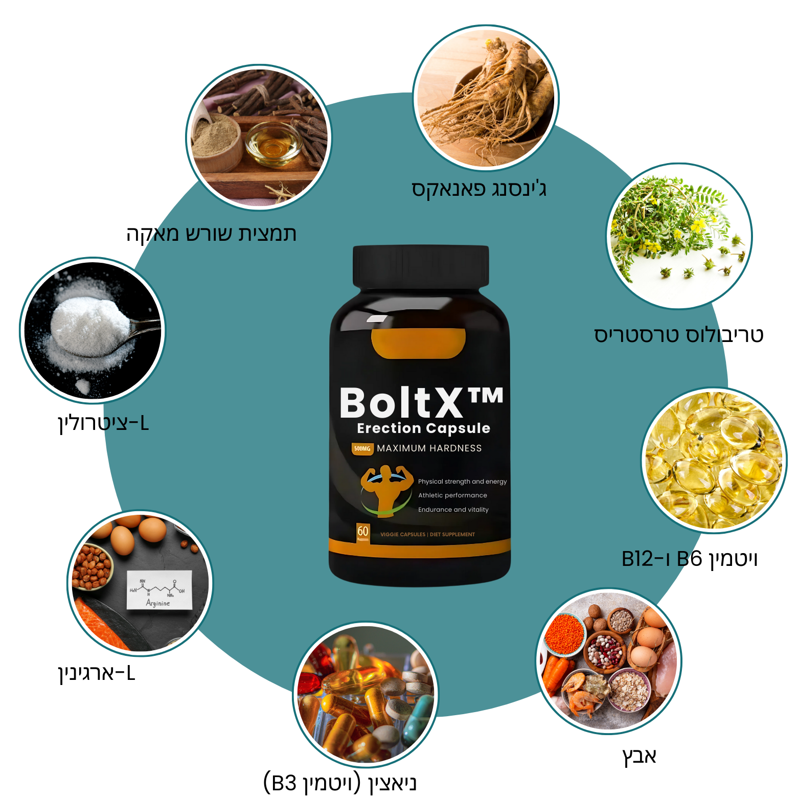 BoltX™ קפסולות לזיקפה | פותרות 99% מבעיות הזקפה ומגבירות את הליבידו תוך 6 ימים